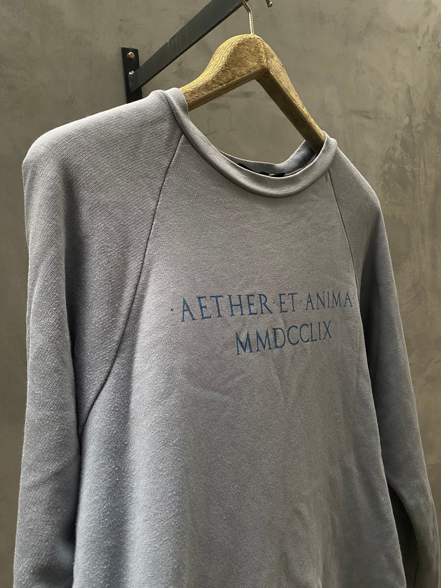 Raf Simons SS06 'Aether et Anima' Crewneck Icarus Surgit