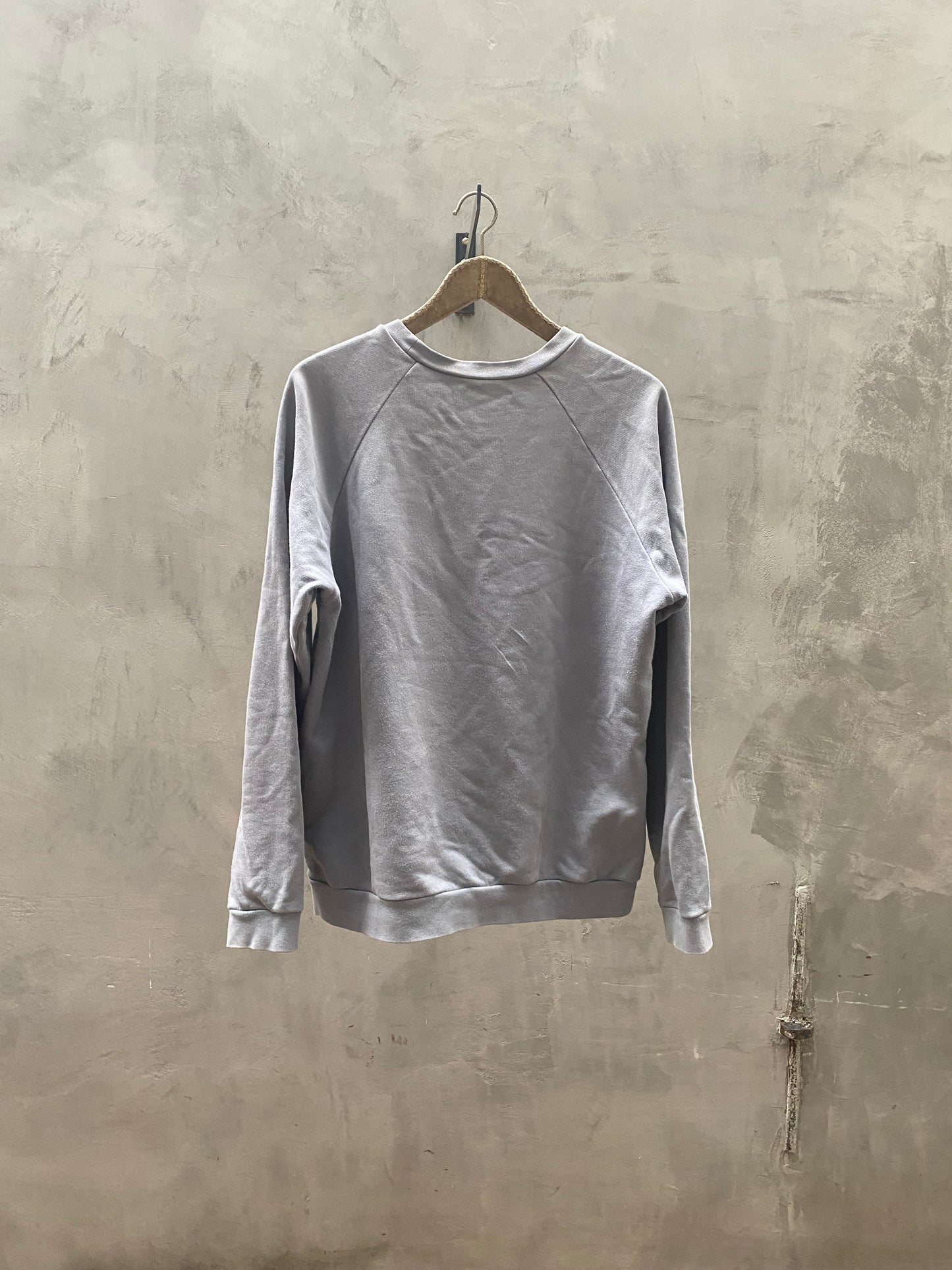 Raf Simons SS06 'Aether et Anima' Crewneck Icarus Surgit
