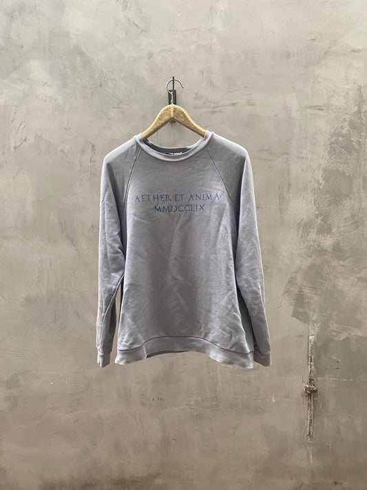 Raf Simons SS06 'Aether et Anima' Crewneck Icarus Surgit